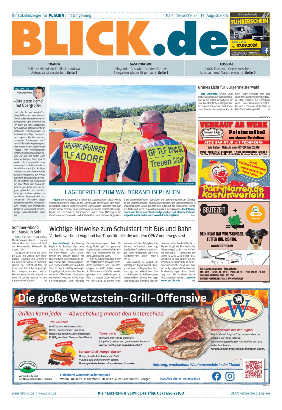 Plauener Blick