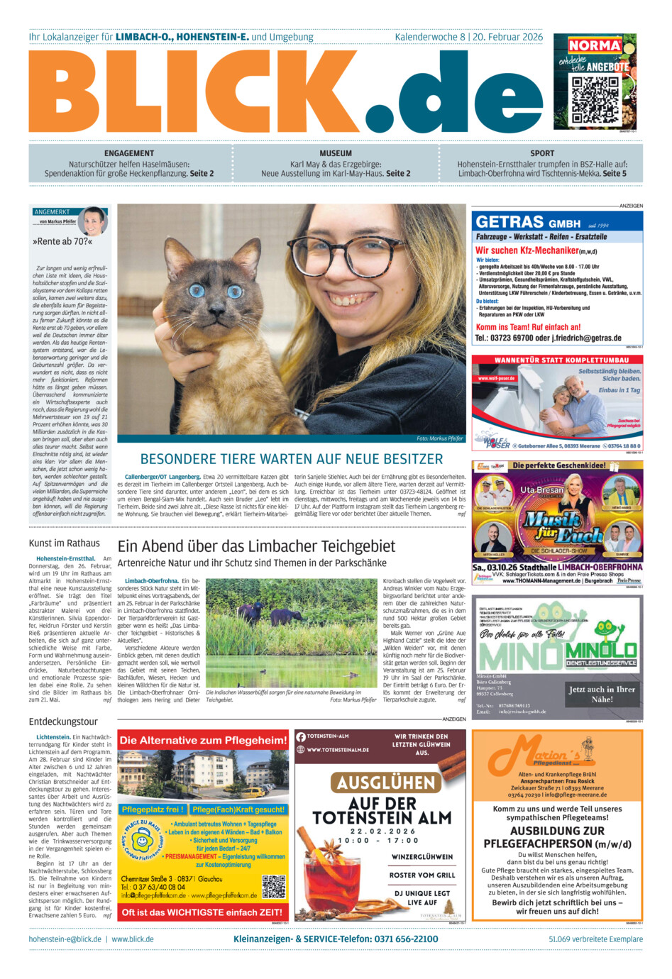 Hohenstein-Ernstthaler Blick