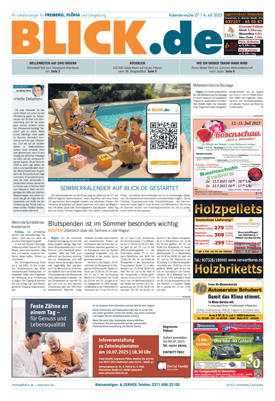 Freiberger Blick