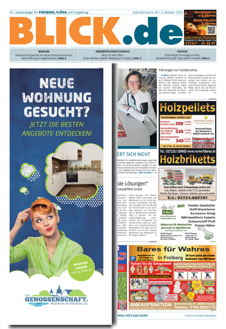 Freiberger Blick