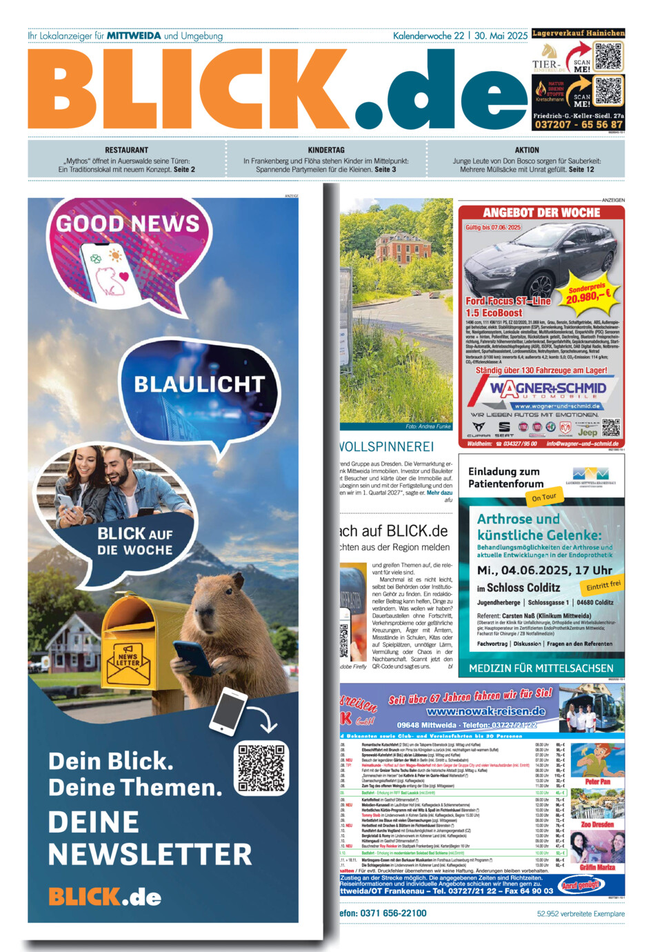 Mittweidaer Blick