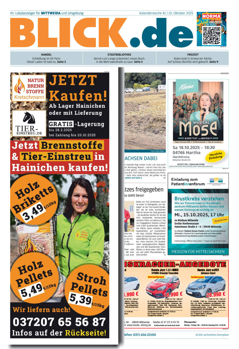 Mittweidaer Blick