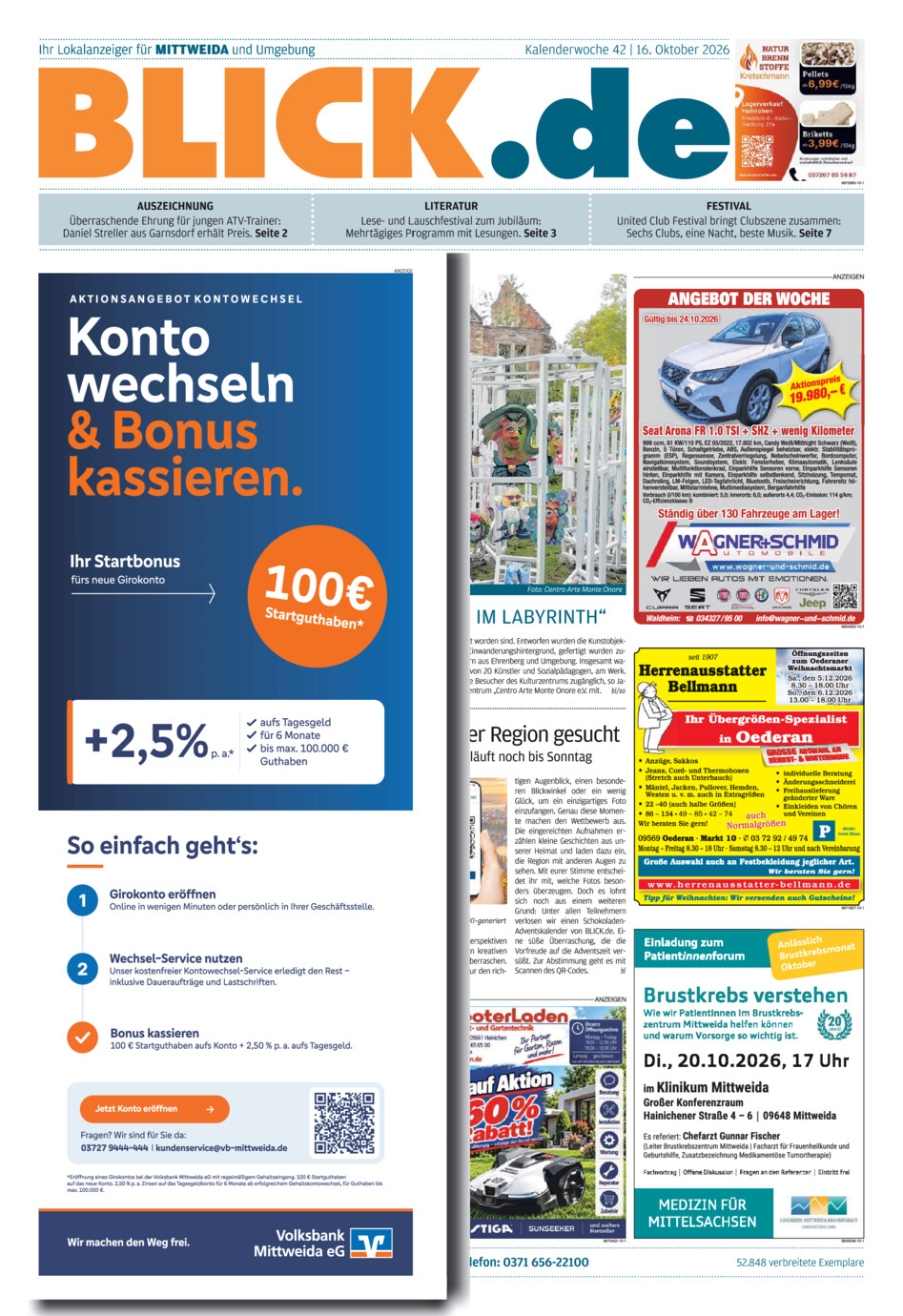 Mittweidaer Blick